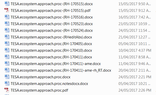 Screenshot of a directory containing multiple saved versions of a file, with names that include dates and initials, which can create confusion and edits getting missed.