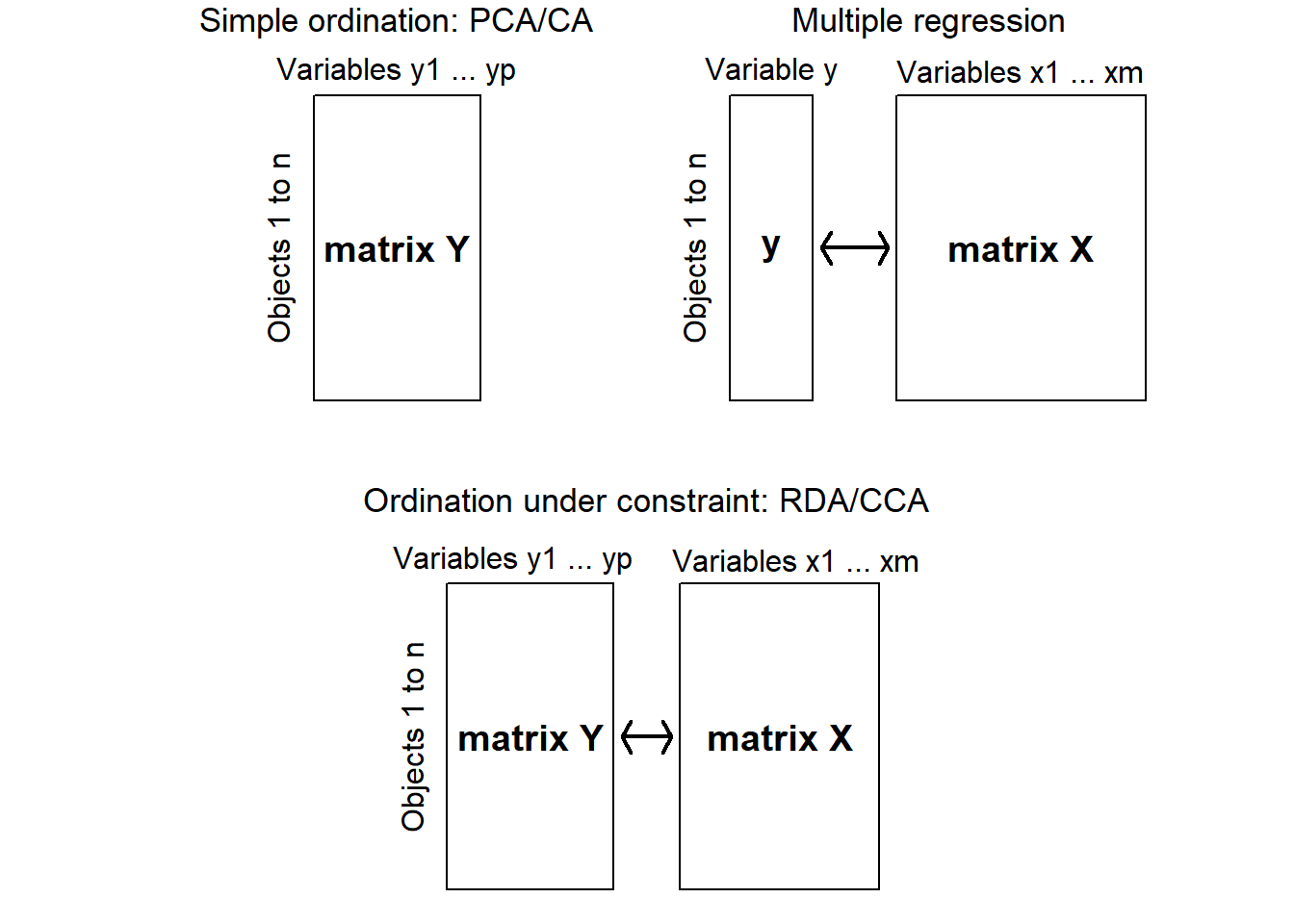 Three figures all with the y-axis labelled 'Objects 1 to n'; 'Simple ordination:PCA/CA' has one rectangle named 'matrix Y'. 'Multiple regression' and 'Ordination under constraint: RDA/CCA' both have two retangles connected by a double arrow, the left ones named 'y' and 'matrix Y', and the right ones both named 'matrix X'.